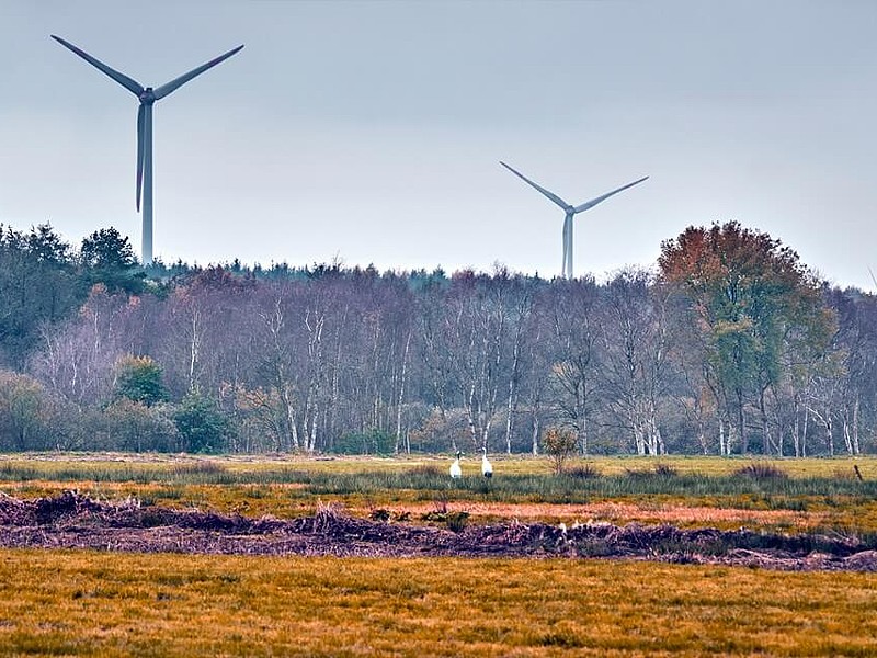 Blick auf das Ahlenmoor und die Windräder in der Oktobersonne