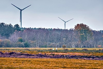 Blick auf das Ahlenmoor und die Windräder in der Oktobersonne